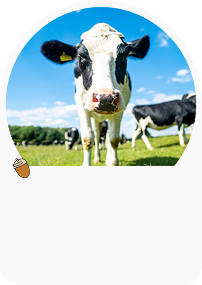 写真：愛知牧場