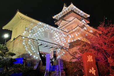 岩崎城特別ライトアップ