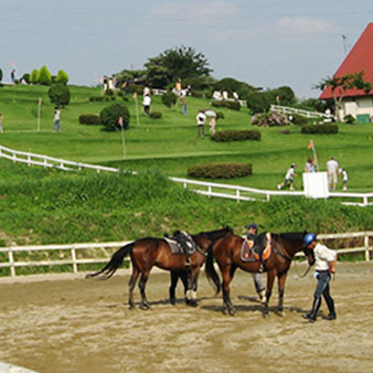 写真：愛知牧場