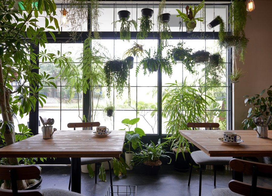 フレンチカフェ C'EST CHOUETTE　画像